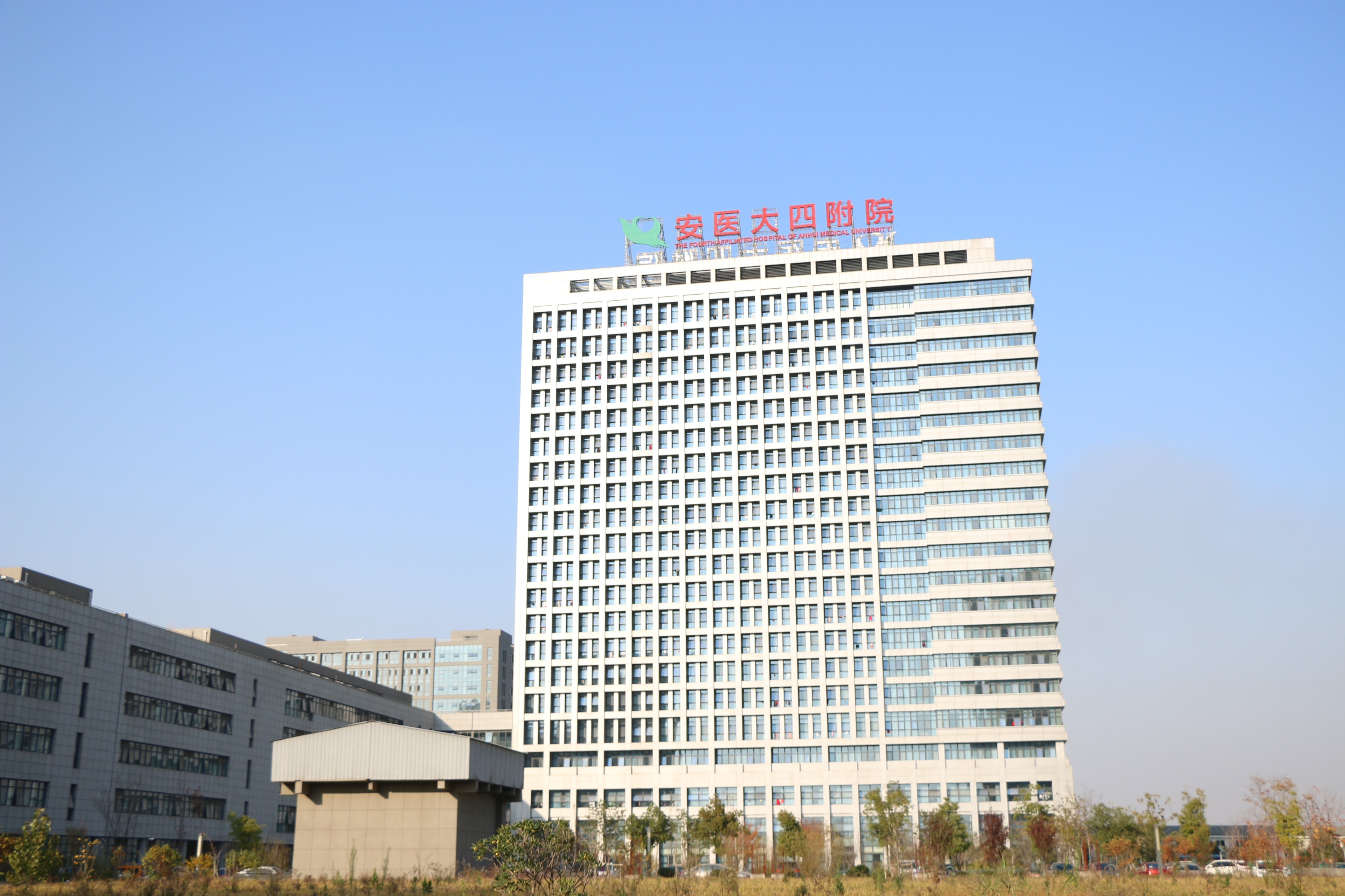 安徽医科大学第四附属医院